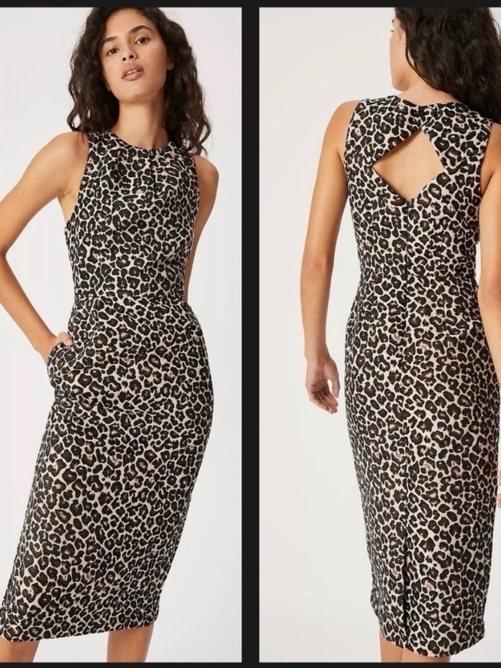 Anthropologie Leopard-Print Sheath Dress in Black and Cream